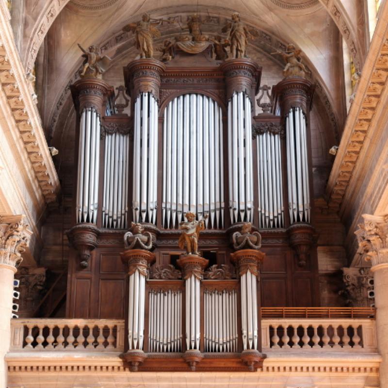 L'histoire majestueuse des grandes orgues de Notre-Dame de Paris et leur évolution séculaire